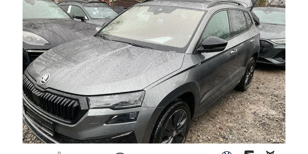 Skoda Karoq 54.264 km 29.980 &euro; Hilden 40721