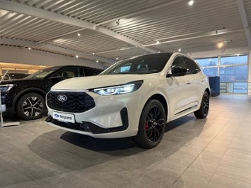 Gebrauchte Ford Kuga