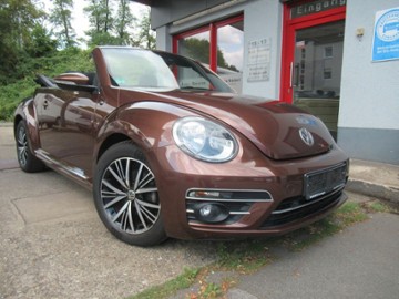 Gebrauchte VW Beetle