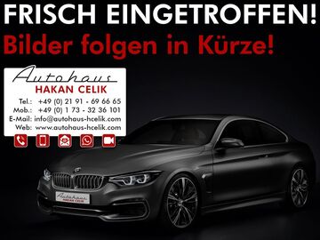 Gebrauchte VW Beetle