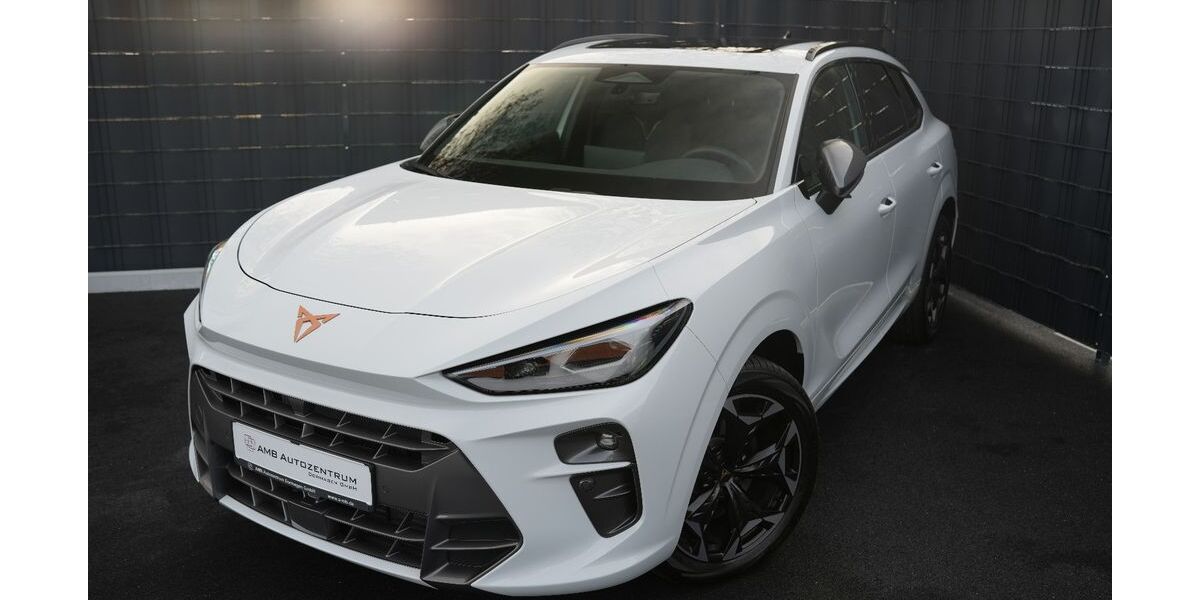 Cupra Terramar 16.046 km 37.899 &euro; Dormagen 41539