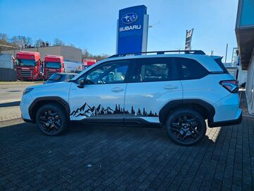 Gebrauchte Subaru Forester